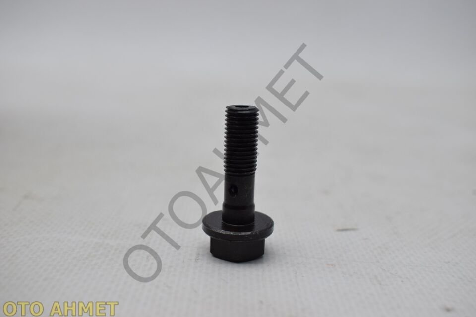 Külbütör Mil Civatası Clio Kangoo Megane 7700739225