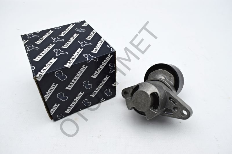 Alternatör Kayış Gergisi Bilyalı Megane Clio-8200603359