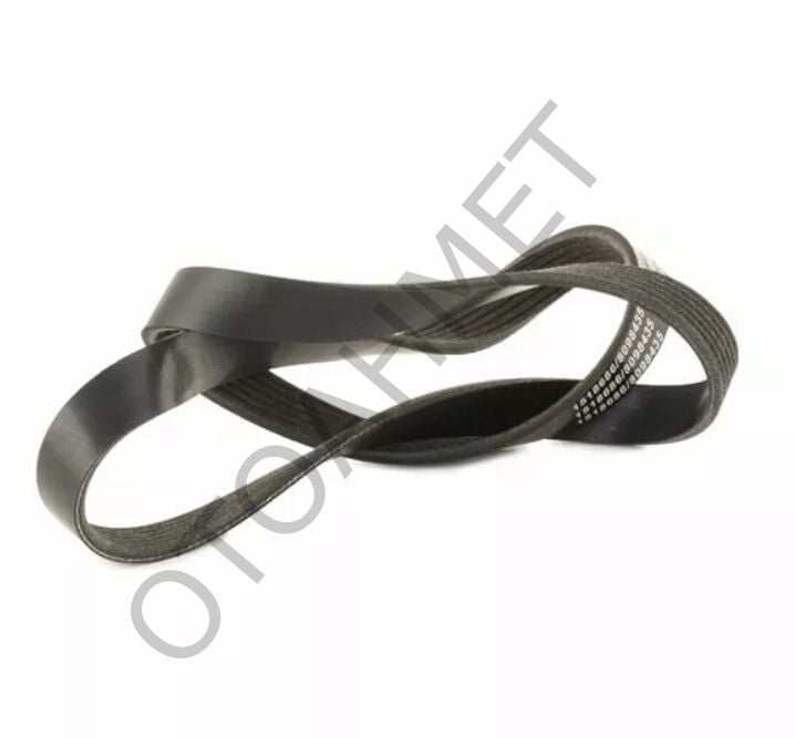 Alternatör Kayışı 117201617R