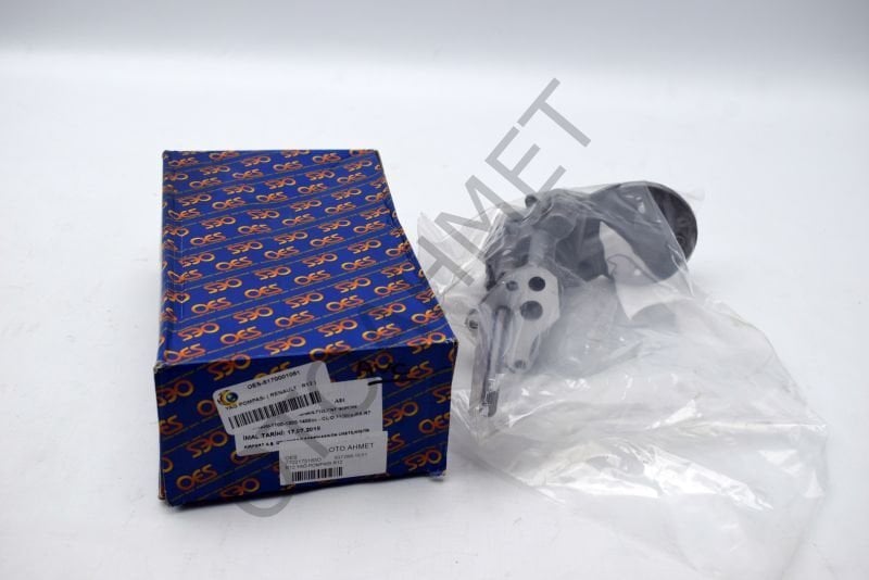 Renault 12 Toros Yağ Pompası OES