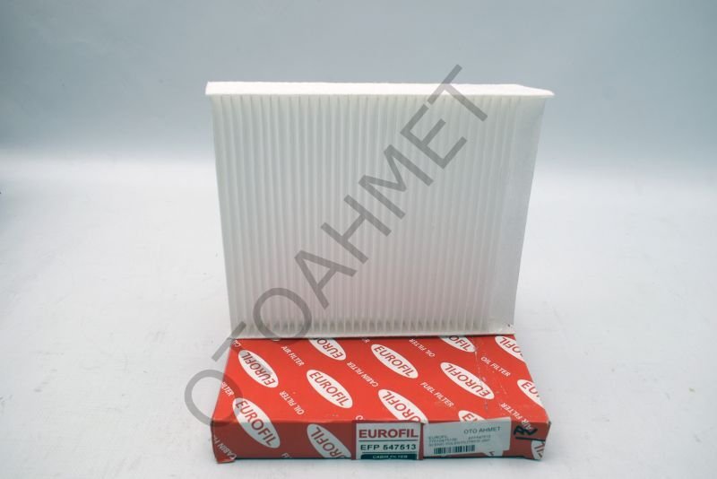 Polen Filtresi Renault Scenic