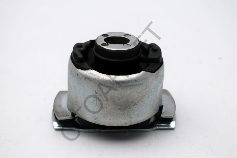 Torsiyon Burcu Sağ Laguna 2