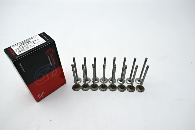 Motor Subap Takımı Trafic Latıtude X-Trail