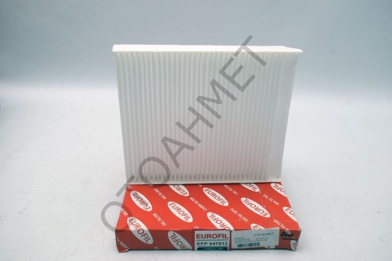 Polen Filtresi Renault Scenic