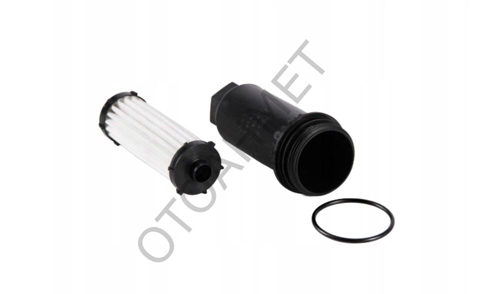 Otomatik Şanzıman Yağ Filtresi Talisman Megane 4-152004740R