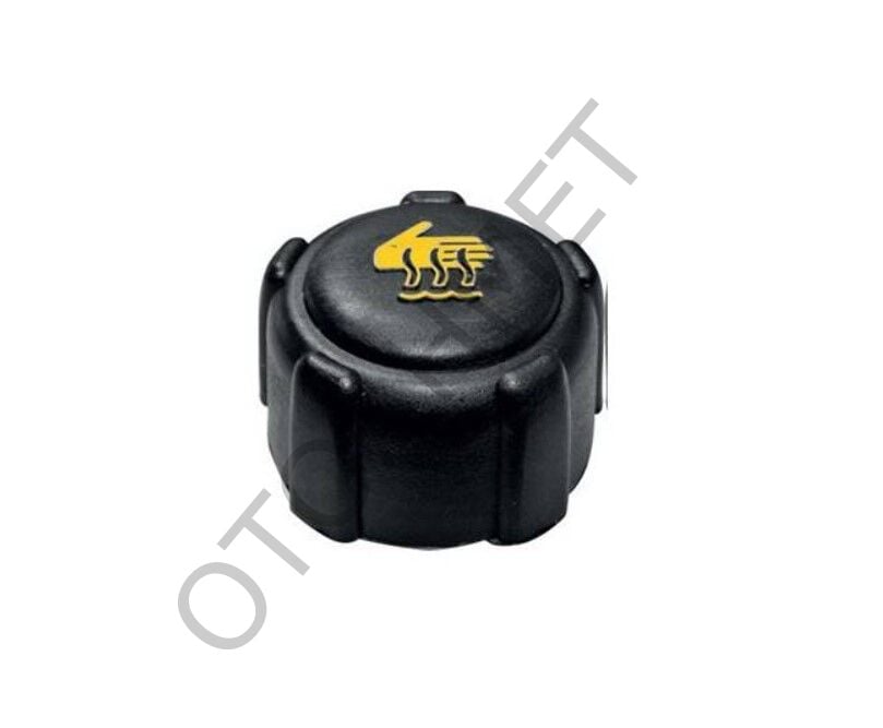 Genleşme Kavanoz Kapağı Renault Dacia-8200048024