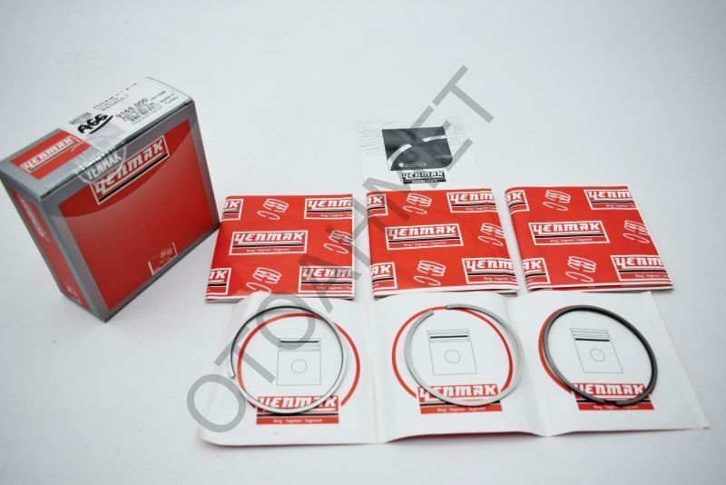 Renault Segman Takımı Kangoo Express R19 Dizel 1.9