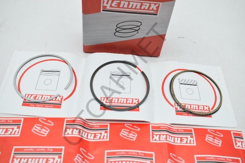 Motor Segmanı 1.6 16 Valf 1.6 8 Valf Clio Megane Laguna