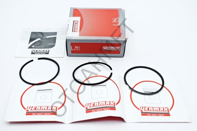 Segman Kangoo Express R 19 Dizel 1.9 F8Q 0.50