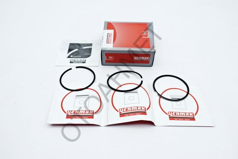 Segman Kangoo Express R 19 Dizel 1.9 F8Q 0.50