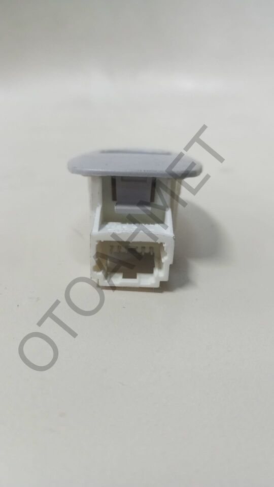 Tavan Lambası Renault Megane 4-Talisman 264301419R