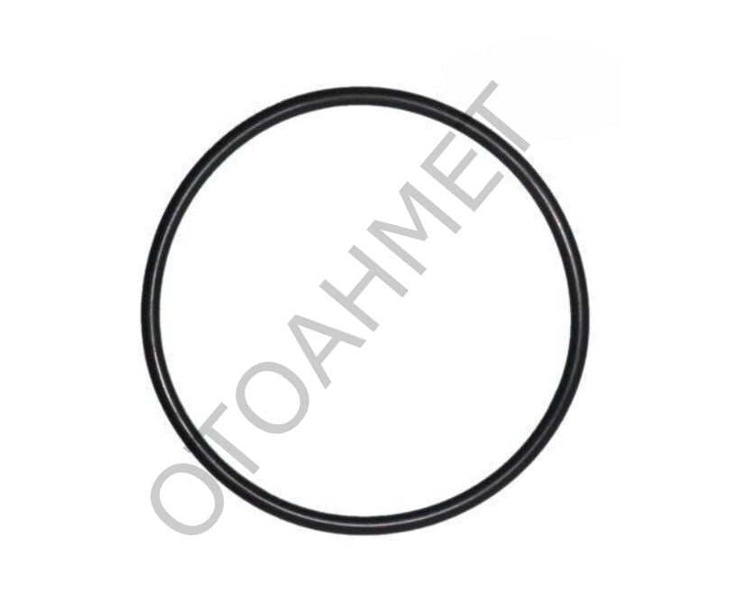 Yakıt Depo Şamandıra Kapağı Oringi Megane Clio Kangoo