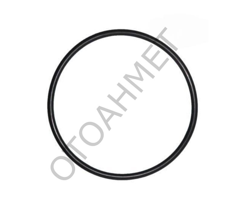 Yakıt Depo Şamandıra Kapağı Oringi Megane Clio Kangoo