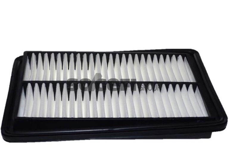 Hava Filtresi Kadjar Qashqai-165464BA1A