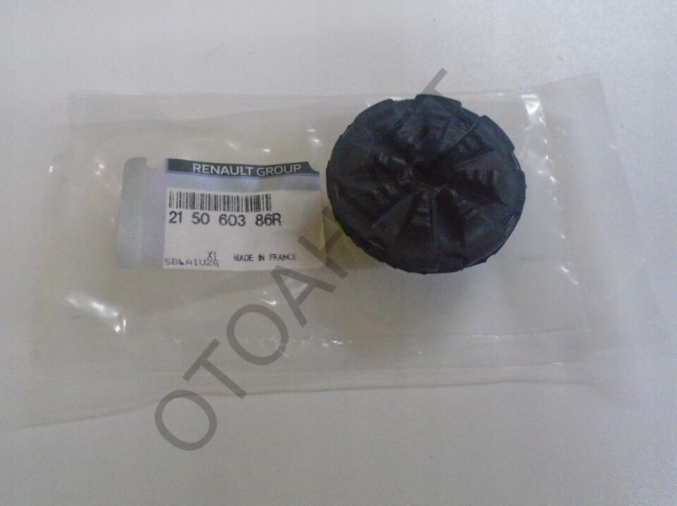 Radyatör Alt Lastiği Jogger Stepway Taliant 215060386R