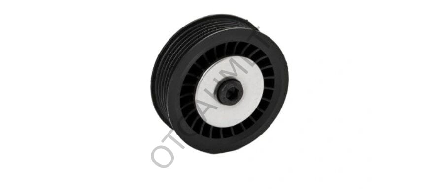 Alternatör Gergi Bilyası Kangoo 3 Fluence 8200663046