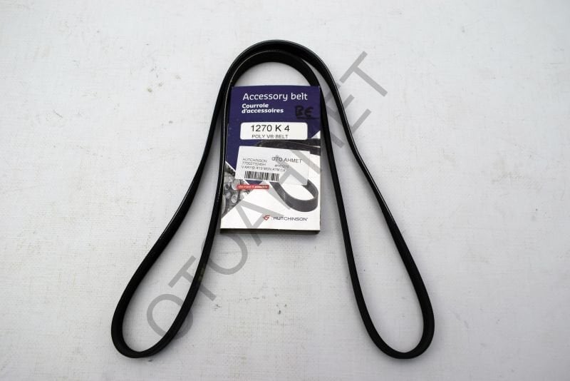 Renault 19 Megane Motor V Kayışı