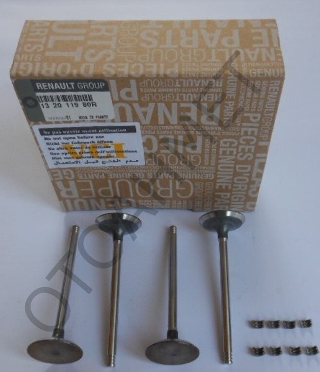 Subap Clio Kangoo Megane K9k Motor Emme 132011980R