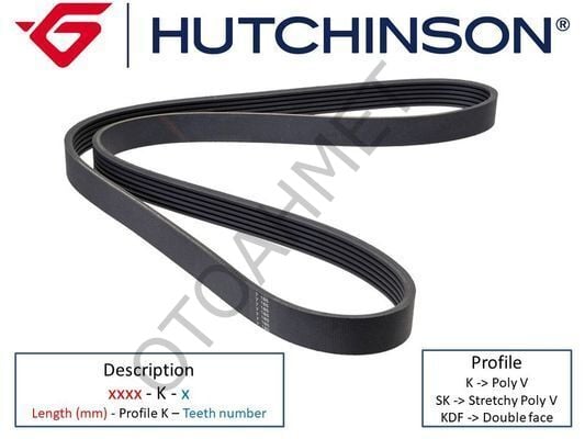 Alternatör Kayışı Laguna Espace 8200111788