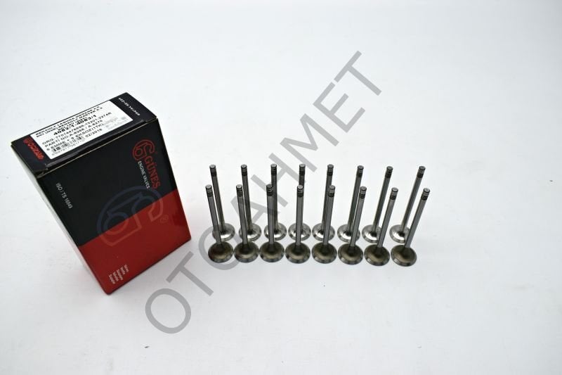 Motor Subap Takımı Trafic Latıtude X-Trail