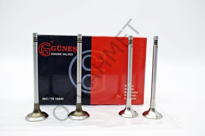 Motor Subap Takımı Trafic Latıtude X-Trail