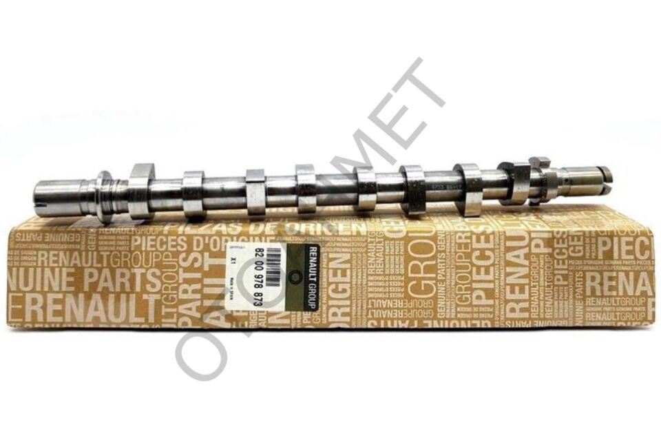 Eksantrik Mili Duster Dokker 130201169R