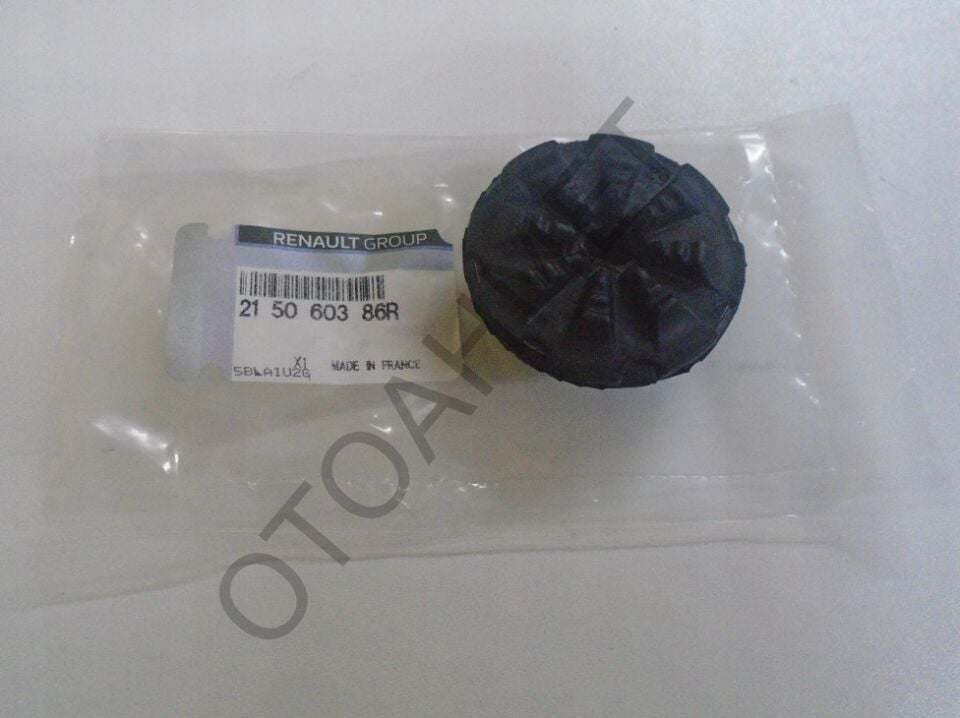 Radyatör Alt Lastiği Jogger Stepway Taliant 215060386R