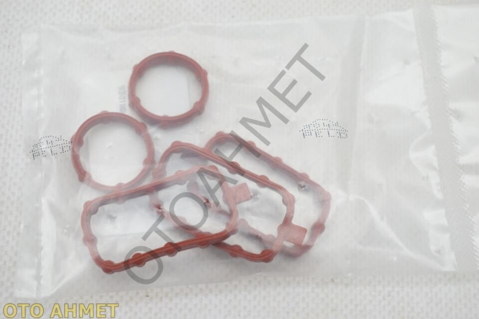 Yağ Dekantör Contası Master 3-7701479111