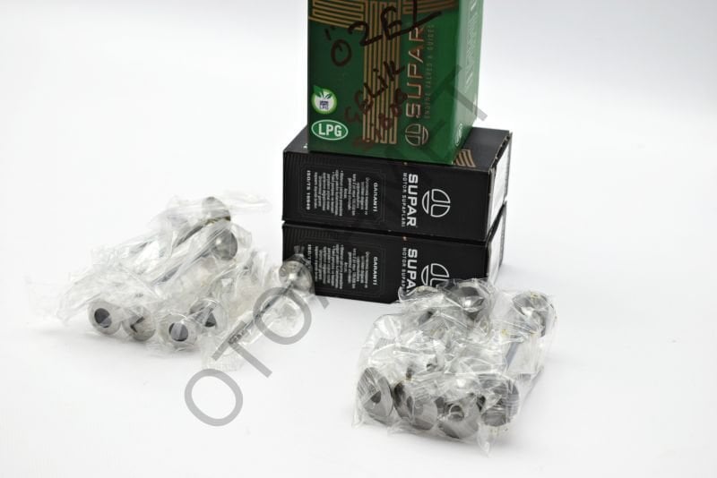 Renault Megane 4 Subap Lpg Uyumlu H4m Motor