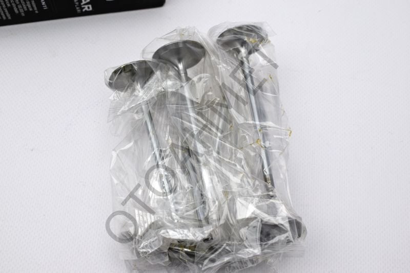 Renault Megane 4 Subap Lpg Uyumlu H4m Motor