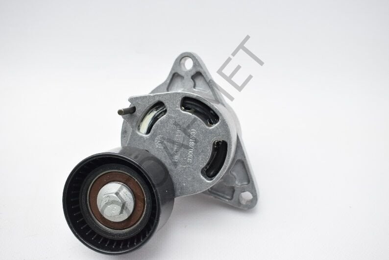 Alternatör Kayış Gergi Bilyası Komple Master 3 Trafic