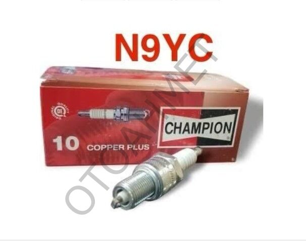 Buji Renault 9-11-19-21