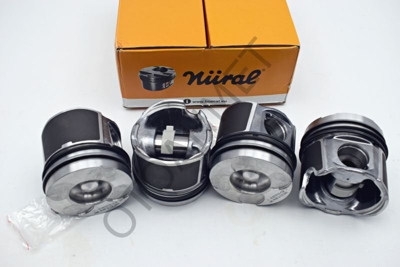 Master 2 Piston Segman Takımı 2500 Dizel G9u Motor