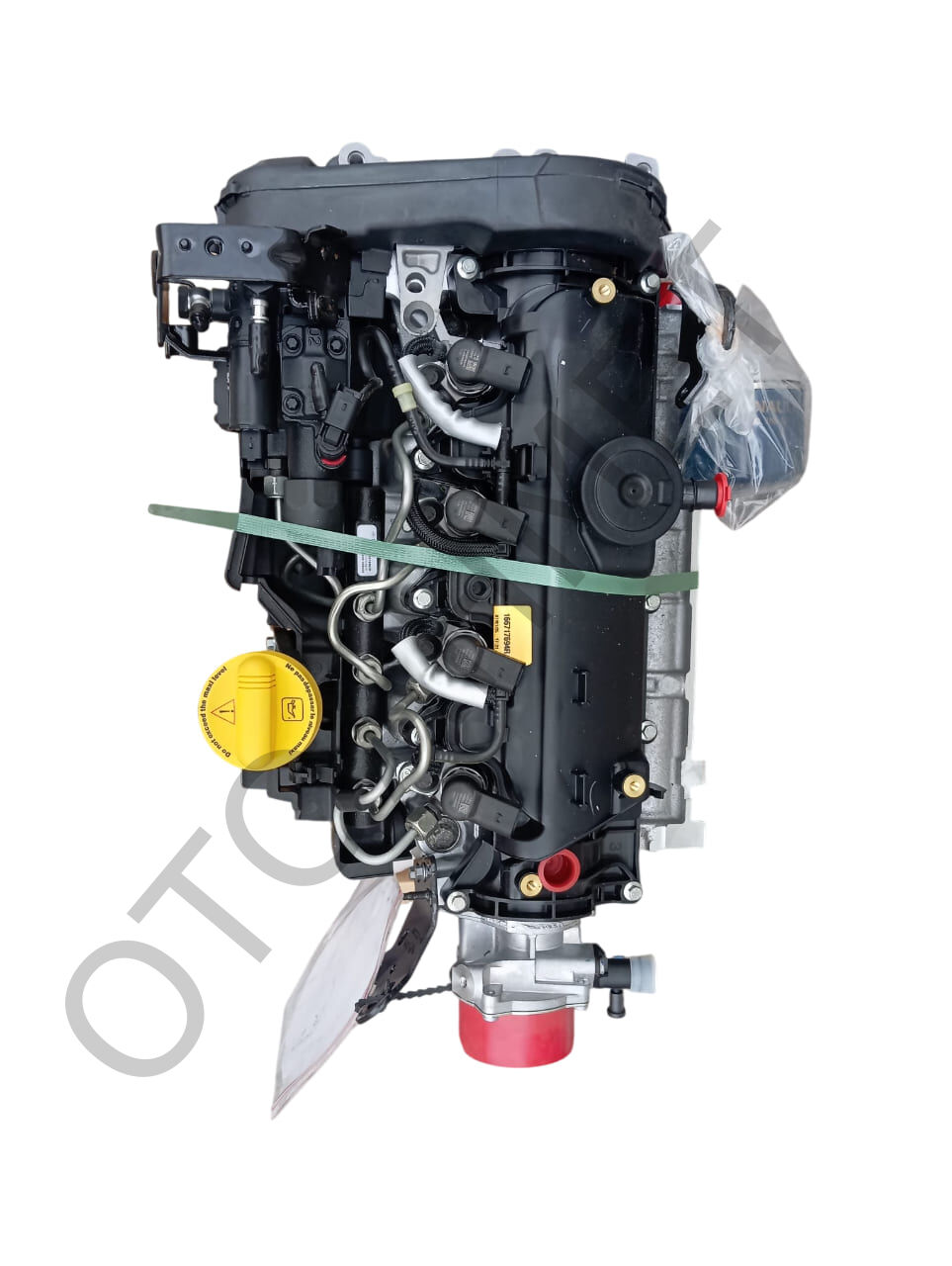 100010458R Sıfır Motor Euro 5 110 Beygir