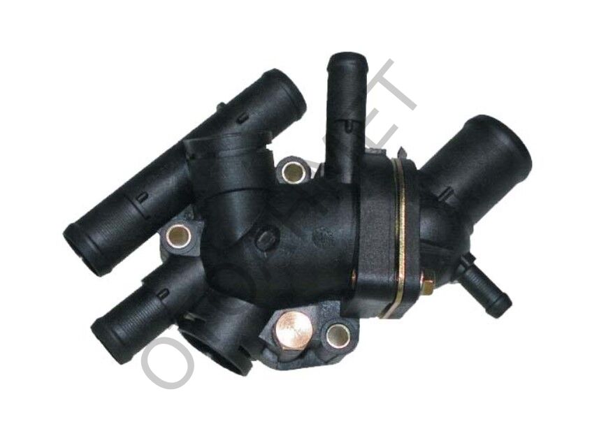 Termostat Komple Renault Megane Kangoo