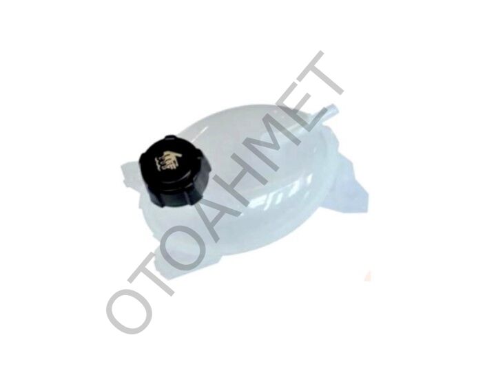 Motor Yedek Su Bidonu Renault Clio 5-217108864R