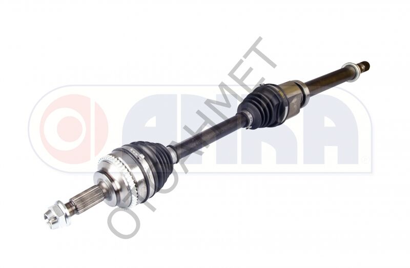 ÖN KAS SAĞ KNG 2010- ABS Lİ