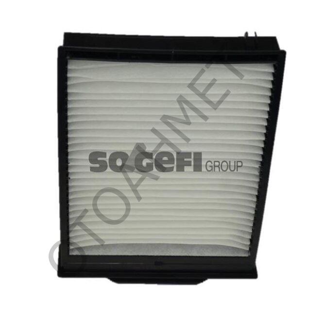 Polen (Klima) Filtresi Renault Megane 2