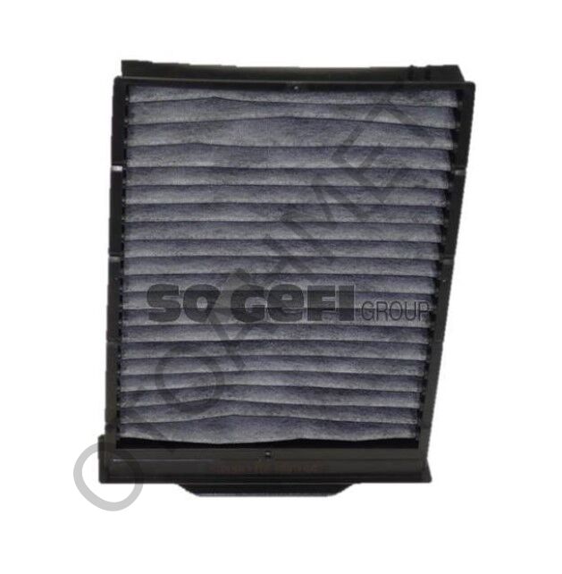 Renault Megane 2 Polen (Klima) Filtresi Karbonlu