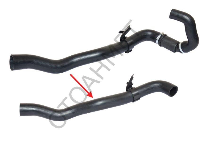 Dacıa Sandero Logan Turbo Hortumu