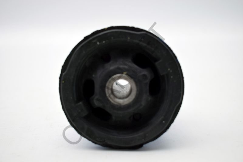 Torsiyon Burcu Arka Duster Logan Sandero