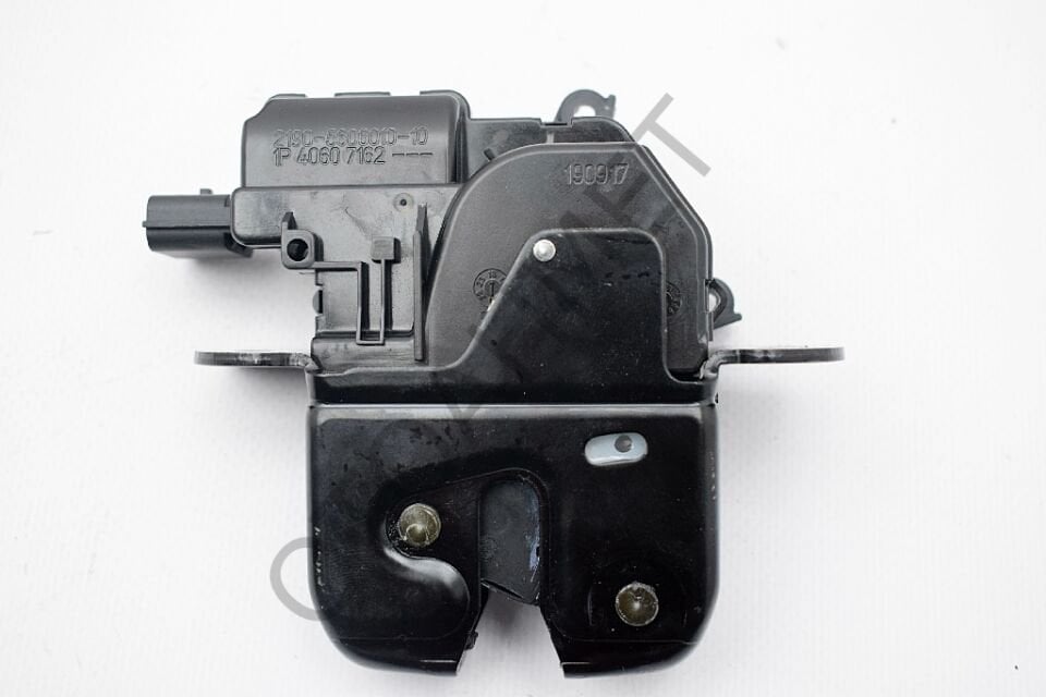 Bagaj Kilidi İç Fluence 905030003R