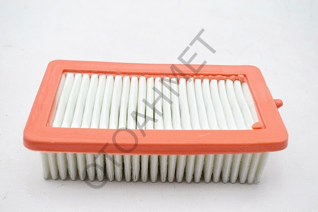 Renault Clio 5 Hava Filtresi 165465FN1A