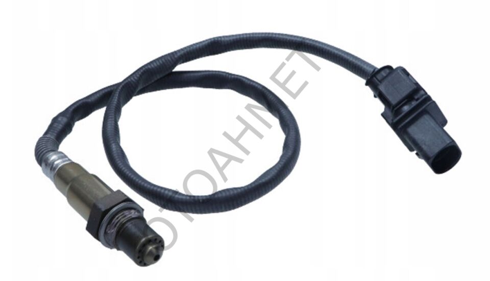 Laguna 3 Koleos Oksijen Sondası (Müşürü)