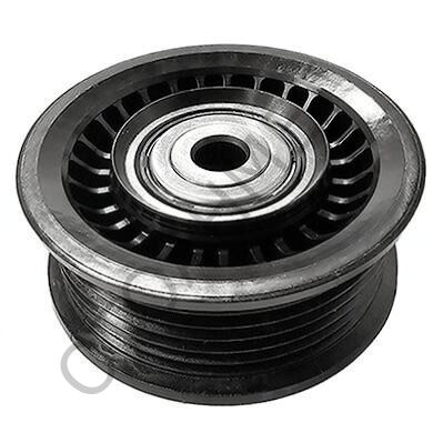 Alternatör Kayışı Gergi Bilyası Austral Captur 119233947R