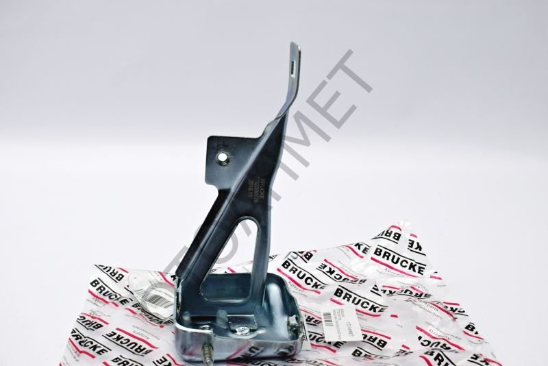 Renault Kangoo Kabut Menteşesi Panelde