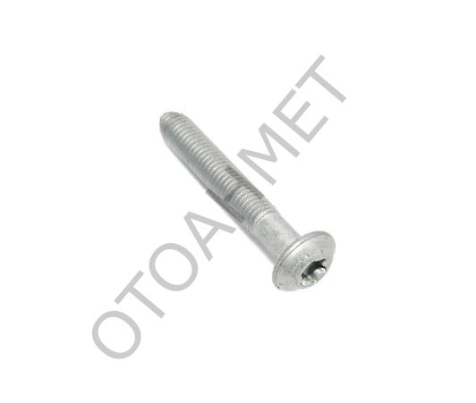 Renault Megane Clio Laguna Triger Civatası 1.6 16Valf