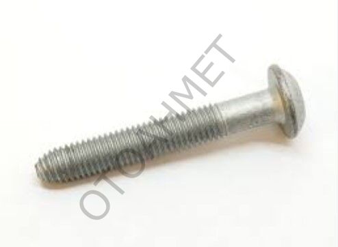 Renault Megane Clio Laguna Triger Civatası 1.6 16Valf