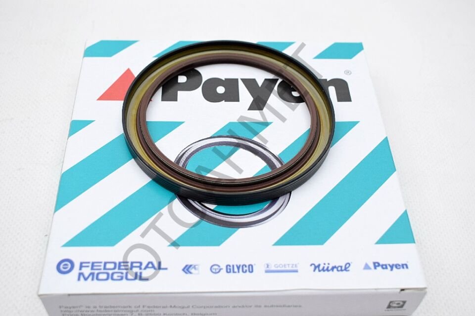 Renault 9-11 Clio Megane Arka Krank Keçesi