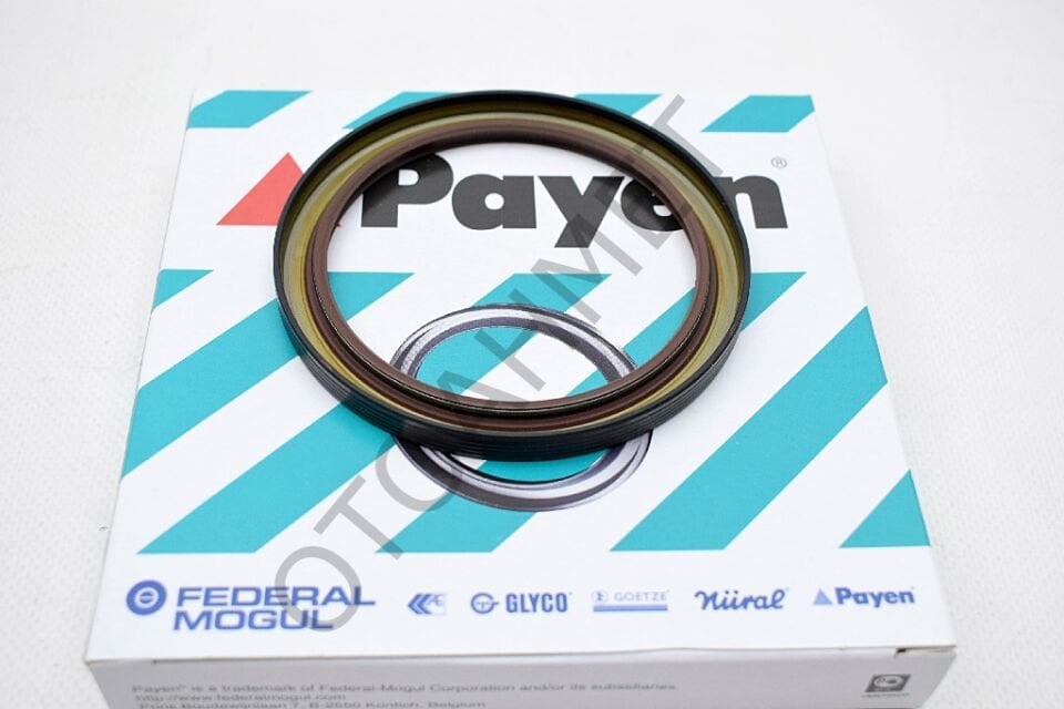 Renault 9-11 Clio Megane Arka Krank Keçesi